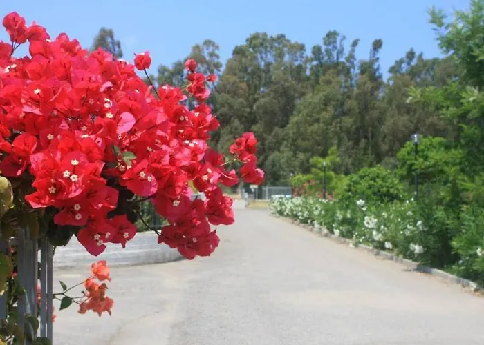 Casa Vacanze Pizzo Costa Degli Dei Fondaco Vecchio