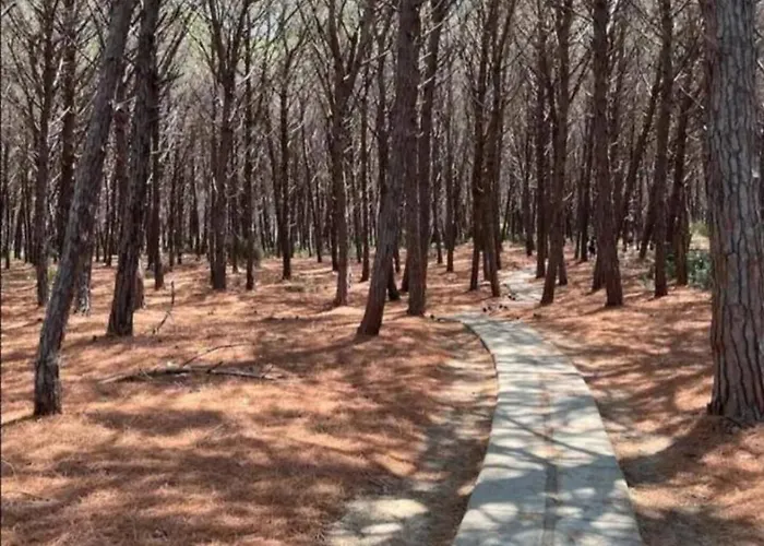 Casa Vacanze Pizzo Costa Degli Dei Fondaco Vecchio