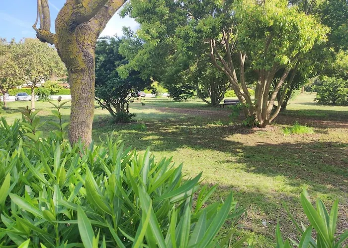 Casa Vacanze Pizzo Costa Degli Dei Casa de Férias Fondaco Vecchio